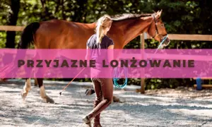 Jeździectwo Lublin: wyjątkowe możliwości edukacyjne i sportowe