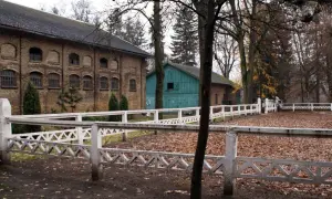 Stadnina koni Kętrzyn: historia, hodowla i atrakcje turystyczne