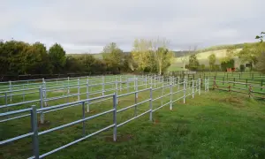 Nowy padok dla koni z metalowymi ogrodzeniami, otoczony zieloną trawą i drzewami.