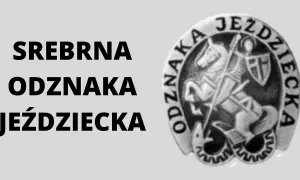 Srebrna odznaka jeździecka - jak zdobyć, wymagania i korzyści