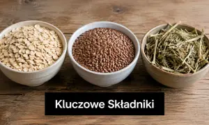 Owsianka, siemię lniane i zioła – kluczowe składniki dla najlepszej paszy treściwej dla koni.