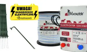 Jaki pastuch dla koni wybrać, aby zapewnić bezpieczeństwo i komfort?