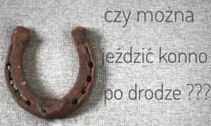 Podkowa na szarym tle. Pytanie brzmi: czy można jeździć konno po mieście?