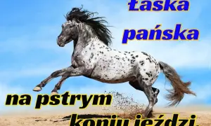 Pstry koń znaczenie: łaska pańska na pstrym koniu jeździ. Wspaniały koń w galopie na tle błękitnego nieba.