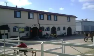 Stadnina koni Mikołów - najlepsze stajnie i usługi jeździeckie w regionie