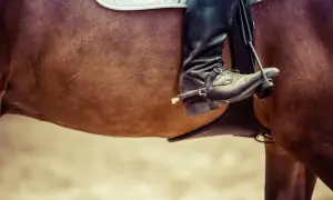 Jeździec w czarnym bucie z ostrogą opiera stopę na strzemieniu, czując ciepło końskiego boku.