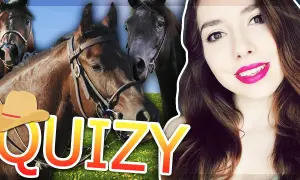 Trudne quizy o koniach na sameQuizy - co wolisz naprawdę?
