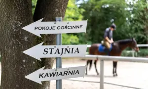 Cennik stadnin koni w Krakowie – sprawdź ceny i oferty jazdy konnej