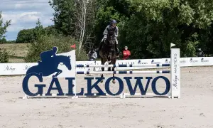 Gałkowo stadnina: wyjątkowe konie i emocjonujące wydarzenia jeździeckie