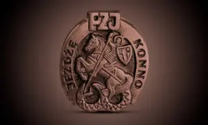 Brązowa odznaka jeździecka - wymagania, egzamin i korzyści dla jeźdźców