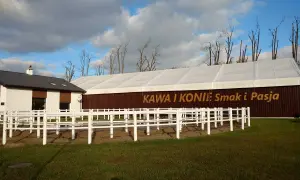 Najlepsze stadniny koni w Rumii - sprawdź opinie i oferty jazdy