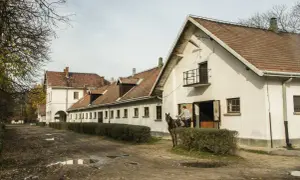 Klikowa stadnina: historia, hodowla koni i unikalne atrakcje