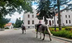 Najlepsze stadniny konne w Polsce – nauka jazdy i wyjątkowe usługi