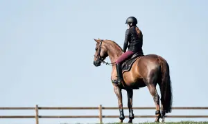 Jazda konna: jak zmierzyć głowę na kask, by zapewnić bezpieczeństwo. Kobieta w kasku na brązowym koniu.