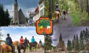 Stadnina koni Limanowa - najlepsze stajnie, ceny i usługi jeździeckie