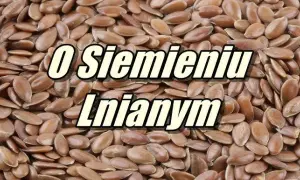 Jak przygotować siemię lniane dla konia, by poprawić jego zdrowie?