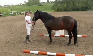 Stadnina Rzeszotary - idealne miejsce na jazdę konną i hipoterapię