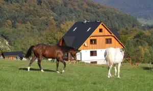 Stadnina koni Rabka-Zdrój - najlepsze miejsca na jazdę konną