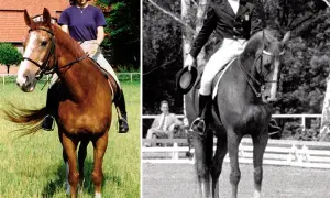 Legendy polskiego jeździectwa: historie, które zmieniły sport na zawsze