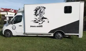 Czy będą dopłaty do wszystkich koni? Sprawdź, kto może je otrzymać