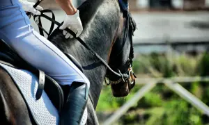Jeździec w białych rękawiczkach trzyma wodze, gotowy do startu. Na jego nogawce widoczna jest złota odznaka jeździecka.