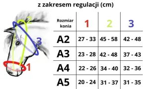 Tabela rozmiarów kantarów dla koni z zakresem regulacji w cm. Ilustracja pokazuje głowę konia z zaznaczonymi obszarami pomiaru.
