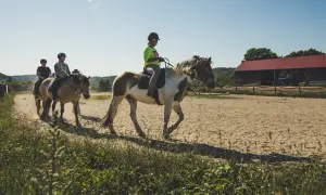 Stadnina koni Kaszuby - najlepsze miejsca na jazdę konną i relaks