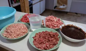 Przygotowania do diety BARF dla kota: kilka talerzy z mielonym mięsem, dzbanek z wodą i miska z ciemną masą.