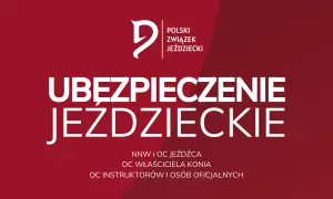Ubezpieczenie jeździeckie: uniknij kosztów wypadków i zyskaj ochronę