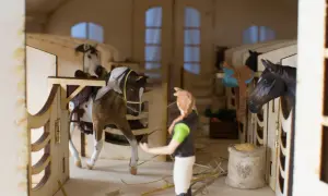 Stadnina koni Mycyny - wyjątkowe miejsce dla miłośników koni