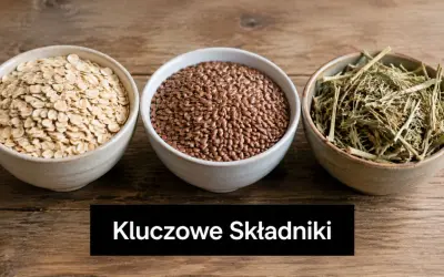 Owsianka, siemię lniane i zioła – kluczowe składniki dla najlepszej paszy treściwej dla koni.