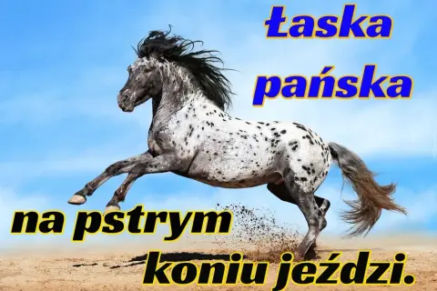 Pstry koń znaczenie: łaska pańska na pstrym koniu jeździ. Wspaniały koń w galopie na tle błękitnego nieba.