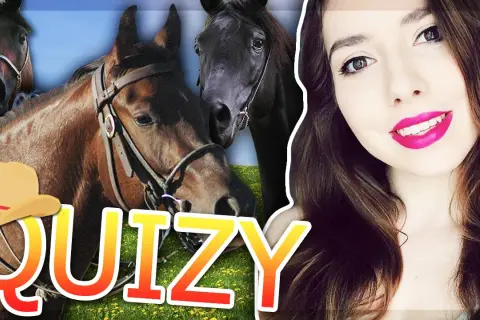 Trudne quizy o koniach na sameQuizy - co wolisz naprawdę?