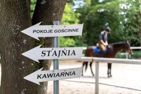 Cennik stadnin koni w Krakowie – sprawdź ceny i oferty jazdy konnej
