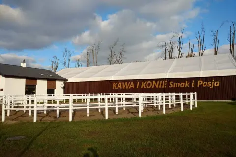 Najlepsze stadniny koni w Rumii - sprawdź opinie i oferty jazdy