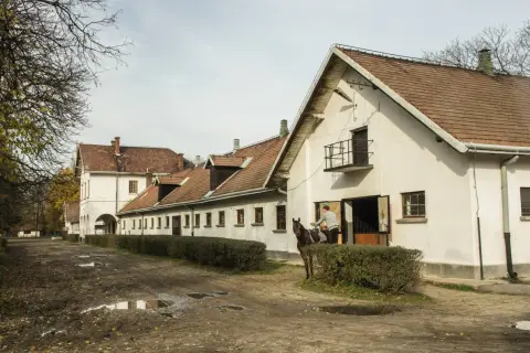 Klikowa stadnina: historia, hodowla koni i unikalne atrakcje