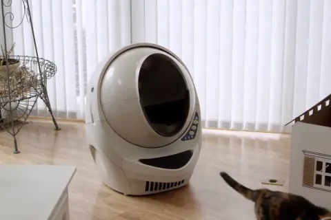 Automatyczna kuweta dla kota i kot w pobliżu kartonowego domku.