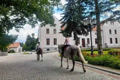 Najlepsze stadniny konne w Polsce – nauka jazdy i wyjątkowe usługi