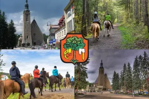 Stadnina koni Limanowa - najlepsze stajnie, ceny i usługi jeździeckie
