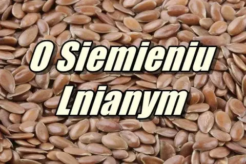 Jak przygotować siemię lniane dla konia, by poprawić jego zdrowie?
