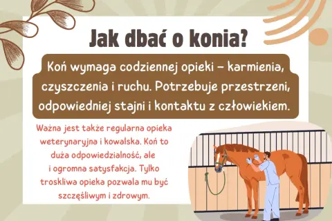 W dzień konia dbamy o jego zdrowie i szczęście. Wymaga codziennej opieki, ruchu i kontaktu z człowiekiem.