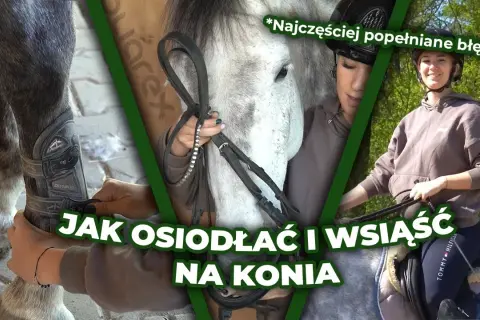 Jak wsiąść na konia: proste kroki, które zapewnią bezpieczeństwo