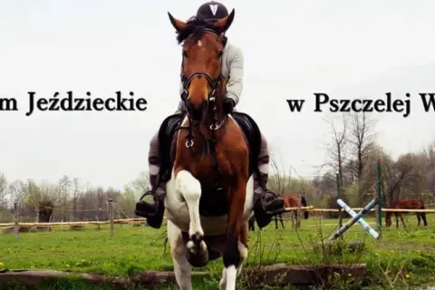 Pszczela Wola liceum jeździeckie - co musisz wiedzieć przed wyborem?