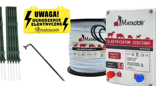 Jaki pastuch dla koni wybrać, aby zapewnić bezpieczeństwo i komfort?