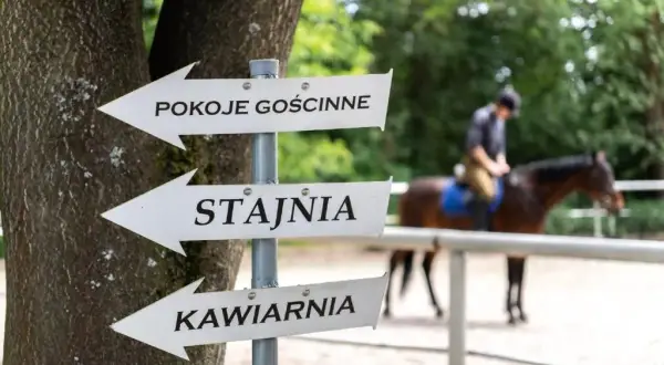 Cennik stadnin koni w Krakowie – sprawdź ceny i oferty jazdy konnej