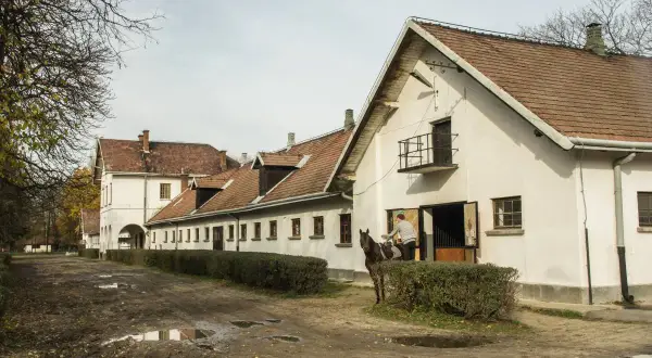 Klikowa stadnina: historia, hodowla koni i unikalne atrakcje