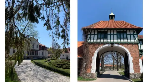Kadyny stadnina koni - historia i tajemnice, które musisz poznać