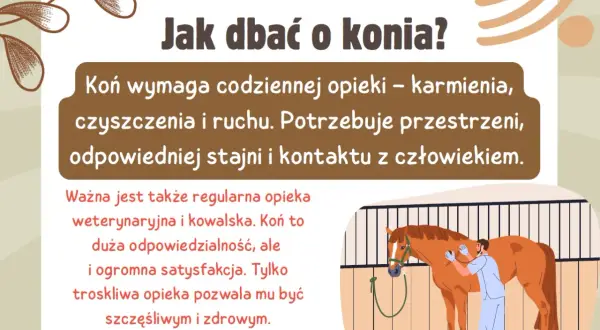 W dzień konia dbamy o jego zdrowie i szczęście. Wymaga codziennej opieki, ruchu i kontaktu z człowiekiem.
