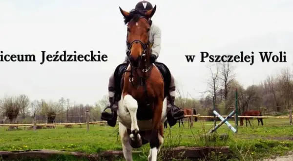 Pszczela Wola liceum jeździeckie - co musisz wiedzieć przed wyborem?
