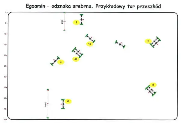 Zdjęcie Srebrna odznaka jeździecka - jak zdobyć, wymagania i korzyści